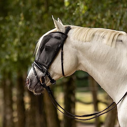 Busse Standard
