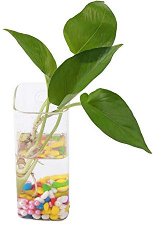 Jarrón de Cristal Colgante, jarrón de Cristal de Flores de Plantas Colgantes, Maceta de Flores, Pared de Cristal Colgante, contenedor de Acuario hidropónico, decoración del hogar(Long Tube Shape)