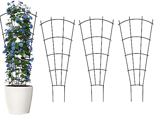 Thealyn 4er Pack Indoor-Pflanzen-Trellis für kletternde Topfpflanzen, Outdoor Metall Garten Trellis für Zimmerpflanzen, Blumen, Weinreben, Fächerform, Schwarz