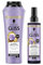 Gliss Blonde Perfector Purple Shampoo (250 ml) & Express-Purple-Spülung (200 ml) Mit Anti-Gelbstich-Effekt, Haarspülung zum Sprühen Mit Föhnschutz