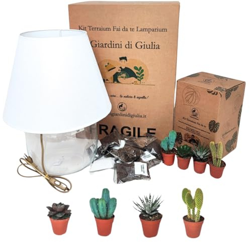 I GIARDINI DI GIULIA - Kit Terrarium Lamparium Grande con Piante Grasse | Vaso in Vetro Ø23,5 cm con Paralume Incluso | Include Substrati, Accessori e Terrario Fai-da-Te