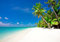 wandmotiv24 Fototapete Strand und Meer Karibik, XXL 400 x 280 cm - 8 Teile, Wanddeko, Wandbild, Wandtapete, Palmen, Sand, Himmel M0030