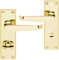 IRONZONE Victorian Straight Lever on Bathroom Profile Backplate - Polished Brass