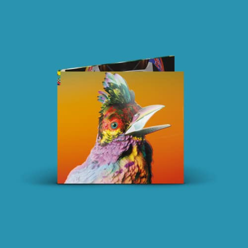 Pias/Transgressive (Rough Trade)