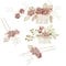 NUOBESTY Wedding Hairpins Set, Decorative Pearl Comb, Flower Bridal Hair Pins Set, Hair Accessories for Brides Girls 4PCS (Pink)