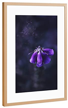 artboxONE Poster mit Rahmen Kupfer 30x20 cm Fuchskraut von LinaTea - gerahmtes Poster