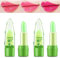 Welhammsae 2 Stück Farbwechsel Lippenbalsam Set, Aloe Vera Magische Temperatur Farbwechsel Lipgloss, Langanhaltende Feuchtigkeitscreme Jelly Lippenstift Makeup Set