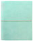FILOFAX Domino Soft A5 Organiser Duck Egg 2025