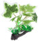 BESPORTBLE Fish Tank Simulated Aquatic Plants Fish Tank Plants Spider Decoration Fish Tank Decor Fish Tank Plastic Plant Aquarium Accessories Artificial Aquarium Plants Realistic Green Abs