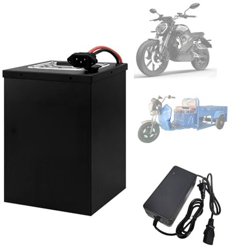 SXYKXYDL Batería de fosfato de Hierro y Litio para Bicicleta eléctrica, 48 V, 16 Ah, 18 Ah, 20 Ah, 25 Ah, 30 Ah, 45 Ah, 50 Ah, para Motor de Triciclo y Carrito de Golf de 250-2400 W