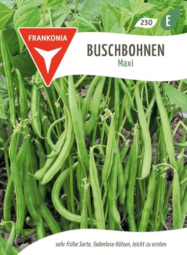 FRANKONIA® Buschbohne, Maxi - Bohnen-Samen Gemüse-Samen Saatgut Samen (Phaseolus vulgaris)