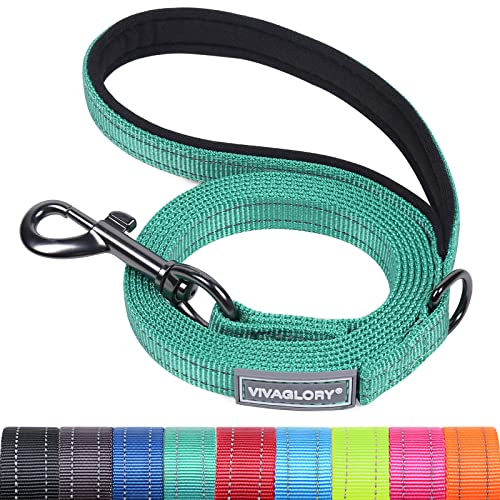 VIVAGLORY Dailyx Hundeleine, Welpenleine Hausleine Joggingleine Für Hunde, Hundeleine mit Schlaufe Und Gepolstertem Griff, Reflektierend & Gepolstert, 120 x 1.4cm, Grün
