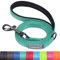 VIVAGLORY Dailyx Hundeleine, Welpenleine Hausleine Joggingleine Für Hunde, Hundeleine mit Schlaufe Und Gepolstertem Griff, Reflektierend & Gepolstert, 120 x 1.4cm, Grün