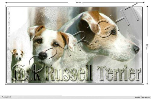 Pets-easy Rechteckige Aufkleber Hund 60cm Jack Russel Terrier