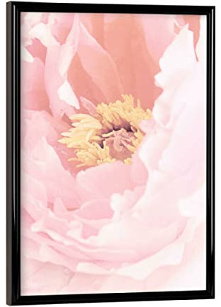 artboxONE Poster mit schwarzem Rahmen 18x13 cm Floral Blush Peony - Bild Peony floral Flower