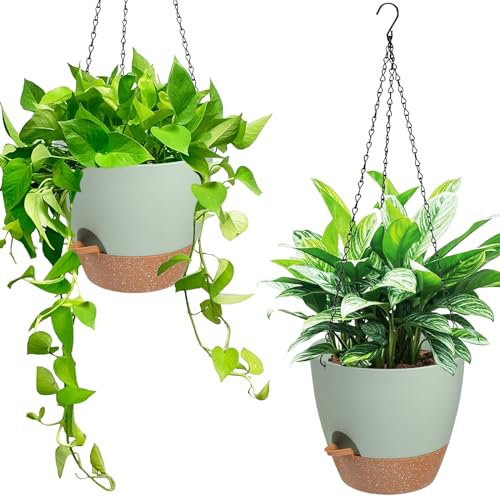 Vanslogreen Hängende Pflanzgefäße für Innen- und Außenbereich, selbstbewässernder Hängetopf mit Drainagelöchern und herausnehmbarem Tablett, Grün, 15,2 cm, 2 Stück