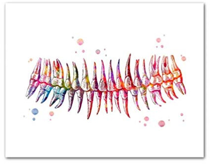 Leinwand Druck Plakat Zähne Aquarell Print Dental Kunst Zahnarzt Poster Menschliche Zähne Anatomie Stomatologie Dekor Klinik Wand Dekor Arzt Geschenk