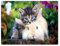 YISUMEI Tiermotiv Kuscheldecke Katze und Kaninchen Weich Bequem Kunstfell Decke Kuscheldecken für Couch Bett XXL,150 x 200 cm