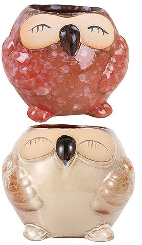 GANAZONO 2St Eule Blumentopf Mini-Gärtnertöpfe Blumenpflanzer Pflanztopf Halter blumenübertopf Zimmerpflanzentöpfe Miniatur-Blumentöpfe kleine Wandpflanzgefäße Karikatur Zubehör Keramik