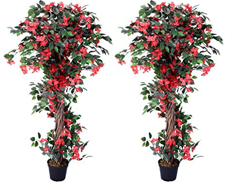 AMERIQUE Paire de Palmiers Cycas Revoluta Sago avec Pot de pépinière, Technologie Tactile véritable, avec Protection UV, qualité supérieure, Vert