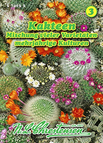 Kakteen, Mischung Topfpflanze N.L.Chrestensen Samen 574033-B