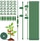 Adiwo Adjustable Plant Support, 30cm Indoor Plant Sticks Support, 66pcs Plant Support Stakes, Orchid Support with Plant Clips Suitable for Home Garden Orchids Peonies Climbing Plants Flower Stands