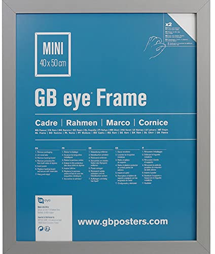 GB eye Contemporary Wooden Silver Picture Frame - Mini - 40 x 50cm