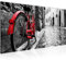 Runa Art Wandbild Fahrrad 1 Teilig 100 x 40 cm Modern Bild auf Vlies Leinwand Retro Wohnzimmer Schlafzimmer Grau Rot 004712a