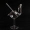 JIUJ Little Swan Sipper Glasses - Creative Vampire Cocktail Glass Straw Glass - 1 Pack