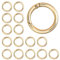 15 Stück Runde Karabiner Gold Feder O Ring Legierung Schlüsselring Schlüsselbund Zubehör für Schlüsselbund Handwerk DIY 25mm