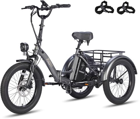 Fafrees F20 Mate Triciclo Eléctrico, Triciclo Plegable, Batería de 48 V/18,2 Ah, Cesta Trasera, Triciclo eléctrico de 20 x 3,0 para Adultos y Ancianos, Alcance 55-110 km (Gris)