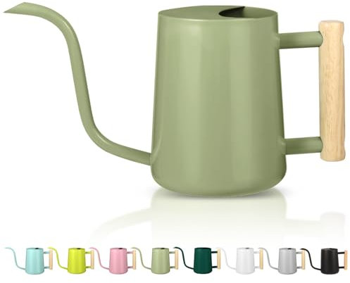 Gießkanne Zimmerpflanzen, 1L Gießkanne Klein Indoor Gießkanne Metall Edelstahl Moderner Dekorativer Giesskanne mit Langem Auslauf für Haus Pflanze Bonsai Outdoor Garten Blumen (Avocado Grün)