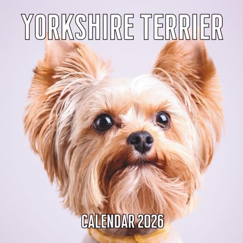 Yorkshire Terrier Calendar 2026: 14-Month Organizer from Nov 2025 to Dec 2026 | Perfect for Home, Office, School & Family Scheduling, For Men , Women , Girls , Boys