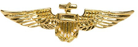 PARTY DISCOUNT Brosche Piloten-Abzeichen, Gold