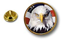 pin Button pins anstecker Anstecknade Motorrad usa flaggen Flagge Fahne Adler r7