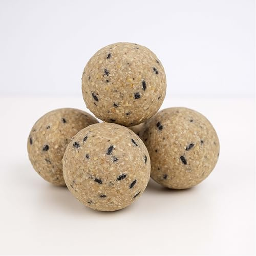 Wiggly Wigglers Wild Bird Food Wheat Fatballs High-Energy Fat Ball Suet And Seeds Fat Balls For Year-Round Feeding (Pack Of 10)