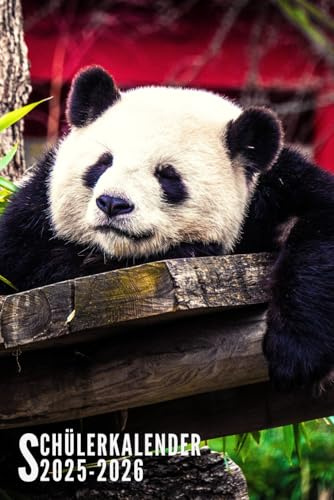 Schülerkalender 2025/2026: Panda - 1 Tag 1 Seite Ideal Für Grundschule, Mädchen, Jungen, Teenager Mit Schulferien, Stundenplan, Kalender und Mehr | Von August 2025 Bis Juli 2026