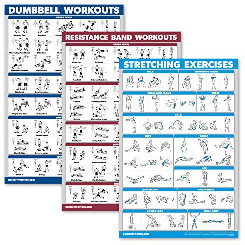 Palace Learning 3er-Pack: Hantel-Übungsposter + Widerstandsbänder Workouts + Dehnübungen – Set mit 3 Trainingstabellen (laminiert, 45,7 x 61 cm)