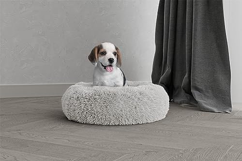 Italian Bed Linen Dreams” Hundehütte für Tiere, Creme, 50 x 50 x 20 cm