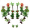 CHENYU 22Pcs Miniature Plastic Trees Cake Topper Set - Rainforest Trees, Mini Dinosaur Figures, Crafts Landscape Construction Model