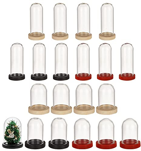 nbeads 12 Pcs Mini Fleur Éternelle Dôme en Verre Cloche, Vitrine en Verre Transparent avec 3 Cloche Bois Couleur Cloche pour Plantes à Fleurs Roches Spécimens Décorations Artisanat, 2.9x2cm/5x2cm