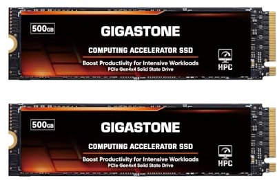 Gigastone HPC Computing M.2 SSD 500GB (2er-Pack) PCIe 4.0 NVMe SSD 5,000MB/s Host Speicherpuffer Cache beschleunigt Geschwindigkeitskodierung Big Data Intensive Arbeitslasten internes