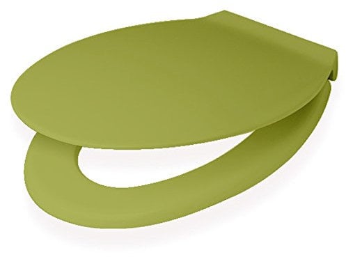 Toto Germany WC-Sitz Exklusiv, Deckel mit Edelstahl-Befestigung moosgrün, 790821607