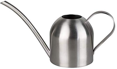 Petit arrosoir en acier inoxydable, 500 ml, avec poignée confortable, long bec verseur, corps solide pour le bureau et l'extérieur