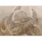 murando PREMIUM Papier peint beige Feuillage 350x256 cm Décoration Murale XXL Poster Tableaux Muraux Tapisserie Photo Trompe l'oeil Plante Nature comme peint b-B-10043-a-a