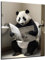DARO Design - Bilder Deko Gäste WC Wandbild Badezimmer Bad Toilette Kunstdruck Bild auf 6mm HDF 30x40 cm Panda Bär Wanddeko - lustige Wandbilder Leinwand Poster Aesthetic Room Decor Bear