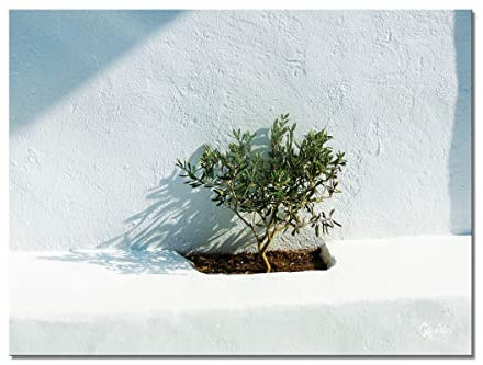 Glücksvilla - Bianco 3 - diverse misure (immagine su tela 2 cm, 60 x 40 cm) in Germania - Stampa artistica XXL decorativa trasversale - Grecia albero pianta oliva alberello