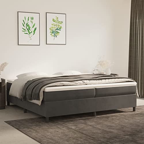 Festnight Bett ohne Kopfteil 200x200 cm Jugendbett Bettgestell Doppelbett Einzelbett Polsterbett Samt Gästebett Bettrahmen Schlafzimmer Bett Jugendzimmer