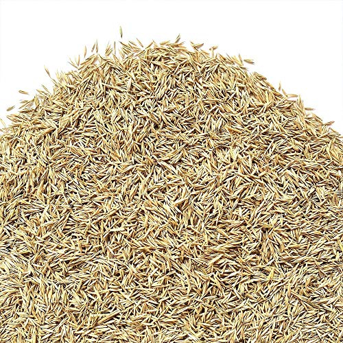 FESTUCA RUBRA FALLAX | Teppich Kräuter | Der Bauernhof (5 kg)