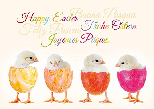 Edition Colibri 10 lustige Osterkarten im Set mit Umschlägen, liebevoll gestaltet witzige Grusskarten zu Ostern (11069)